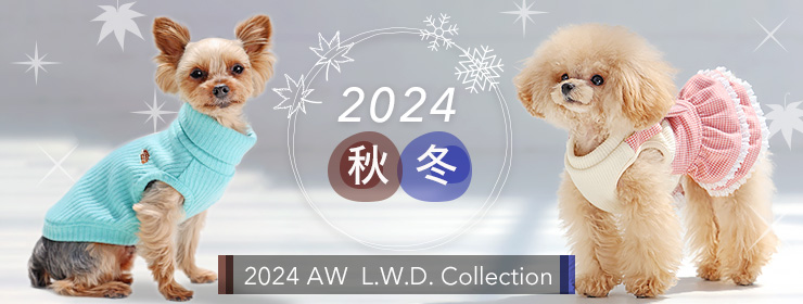 2024AW　秋冬コレクション