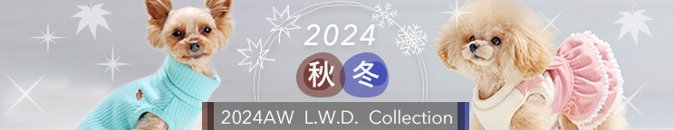 2024AW