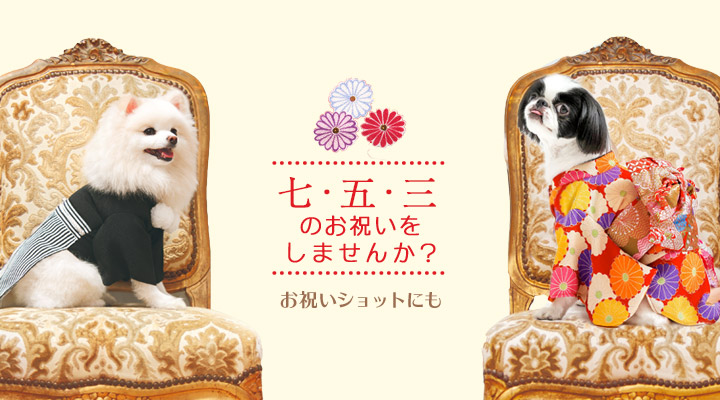 七五三のお祝いに行きませんか