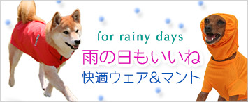 犬と生活レインコート