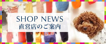 犬と生活直営店NEWS
