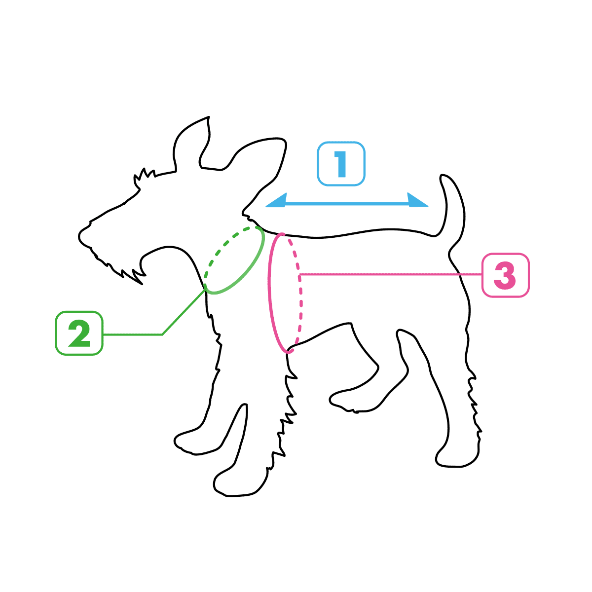 犬と猫のサイズの測り方｜適応サイズ表 犬と生活 L.W.D. 犬服・猫服の