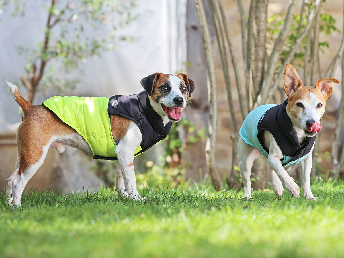 犬服・猫服の人気ブランド L.W.D. 犬と生活 猫の暮らし オンラインストア