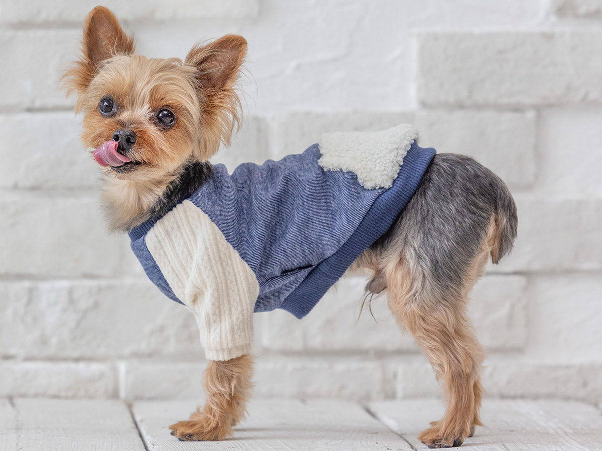 犬猫生活 犬猫生活公式ショップ