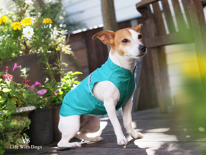 犬と生活 アンチポランウィンドブレーカー 【犬服 夏服 花粉対策】