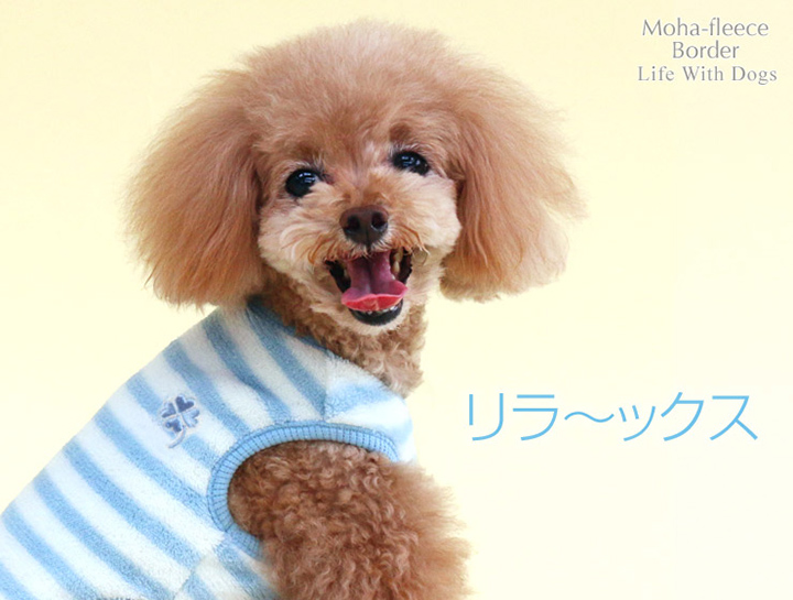 犬と生活 モハフリースビッグボーダー