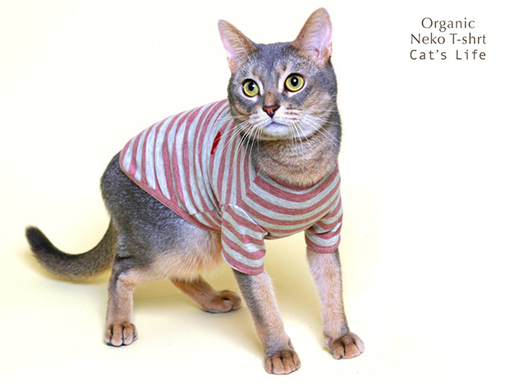 オーガニックネコTシャツ 猫の暮らし 猫 保護服