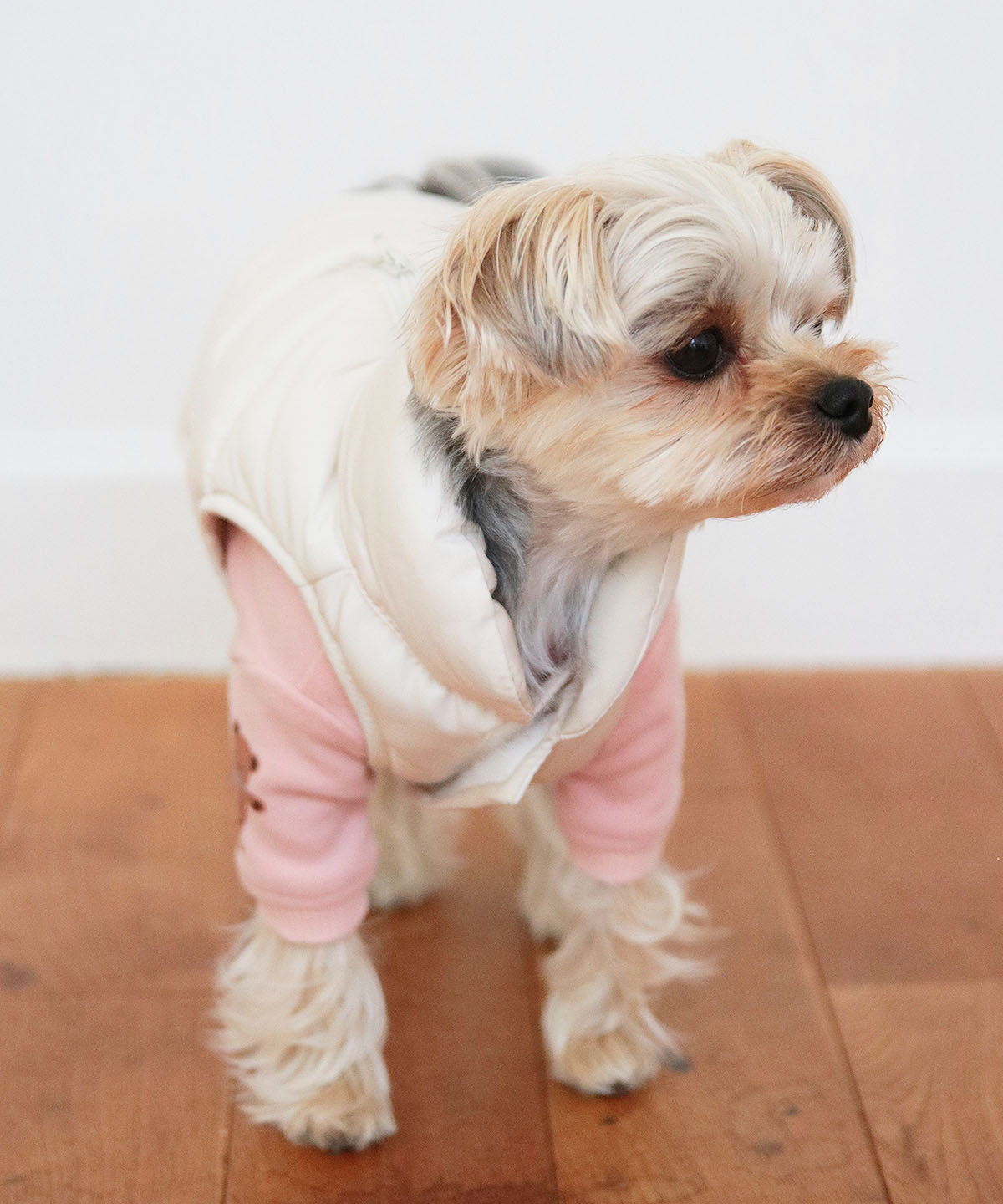 犬と生活　エアライトジャケット（ハーネス対応）　【犬服　冬服　小型犬　中型犬　HOT機能素材　防寒】