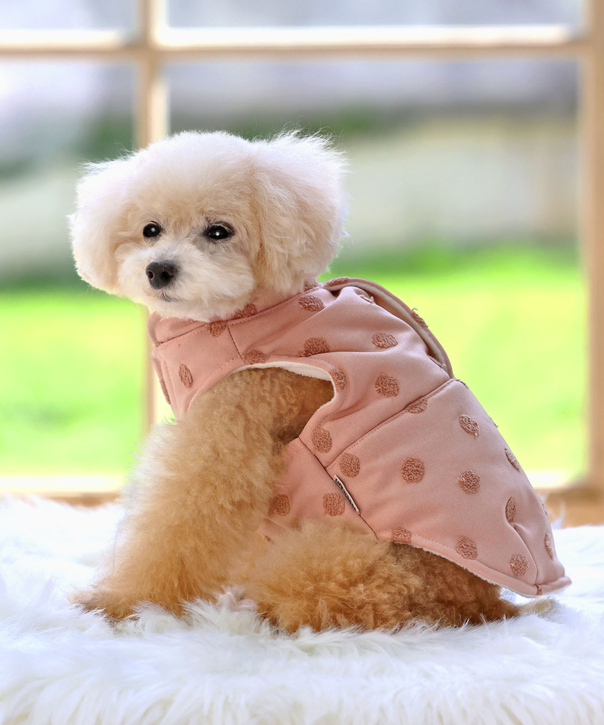 犬と生活　ドットパフジャケット（ハーネス対応）　【犬服　冬服　小型犬　中型犬　HOT機能素材　防寒】