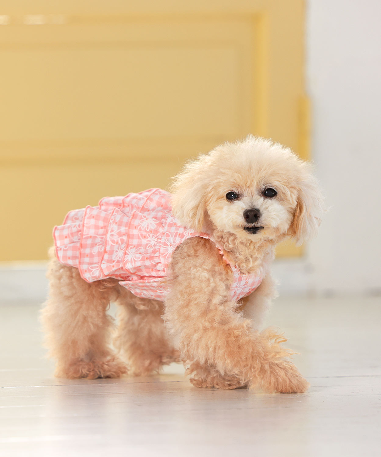 犬と生活　フラワーキャミ　【犬服　スカート　ワンピース　女の子　春夏服　可愛い　小型犬】