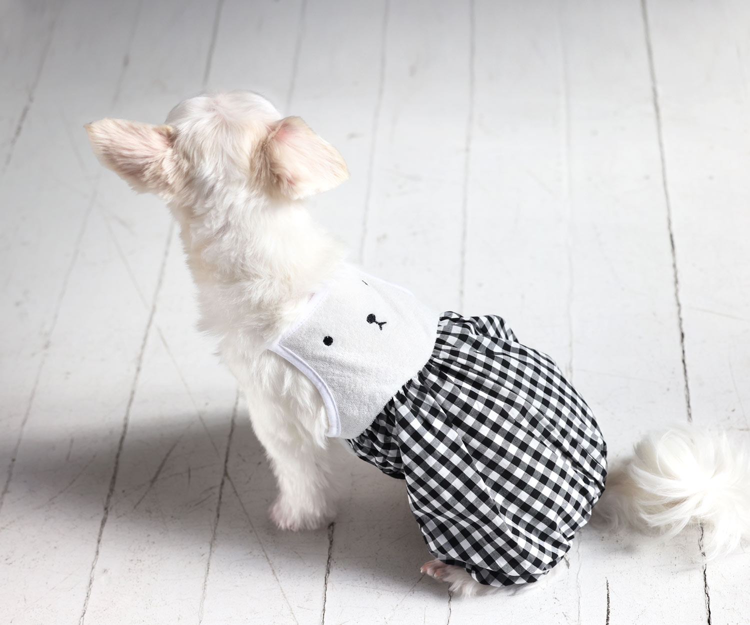 犬と生活　くまさんパフパンツクール　【犬服　スカート　ワンピース　女の子　春夏服　可愛い　小型犬】