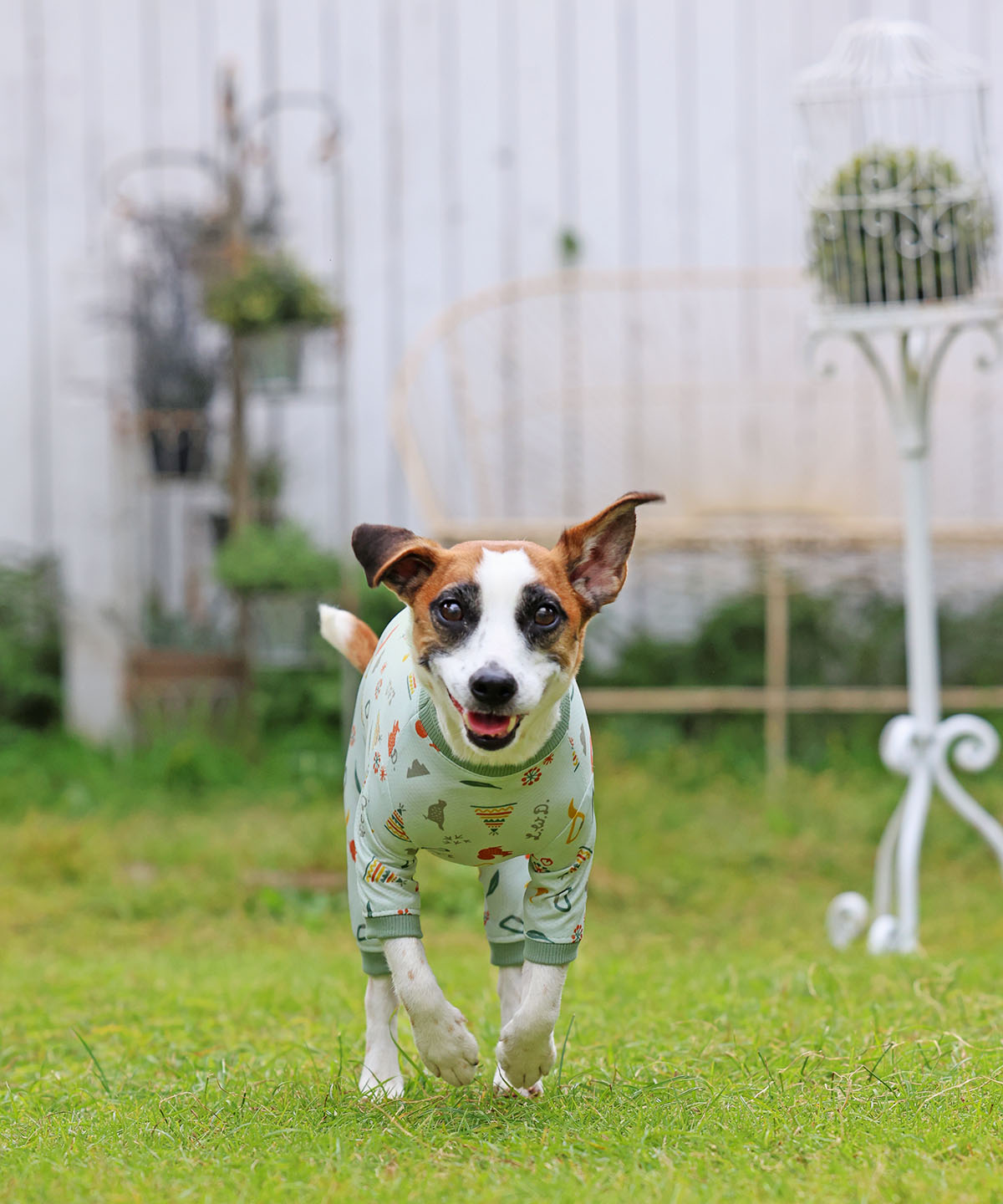 犬と生活　バグガードスーツ　【犬服　夏服　防虫対策　防虫ウェア】