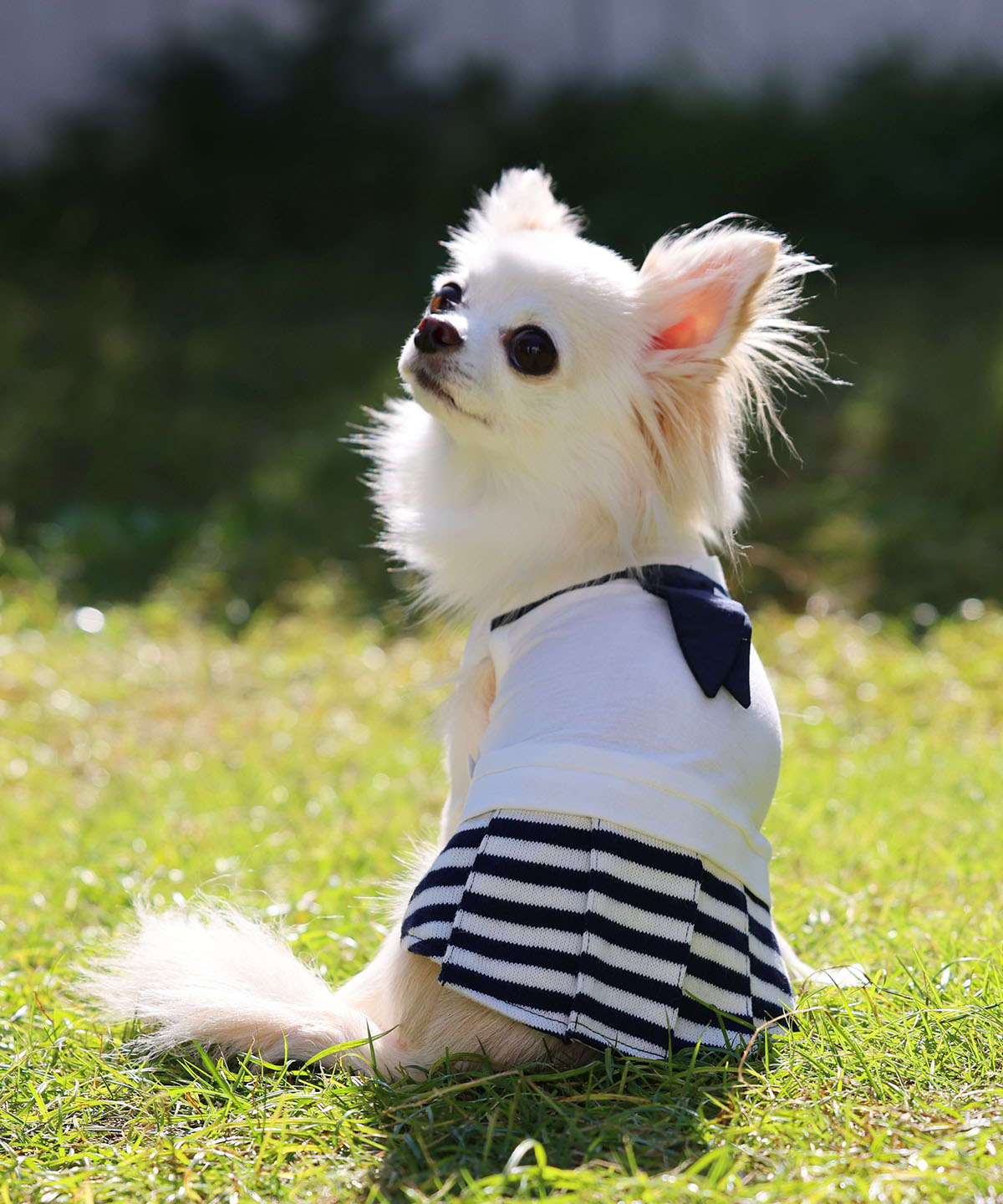 犬と生活　マリンスカートクール【犬服　スカート　ワンピース　女の子　春夏服　可愛い　小型犬】