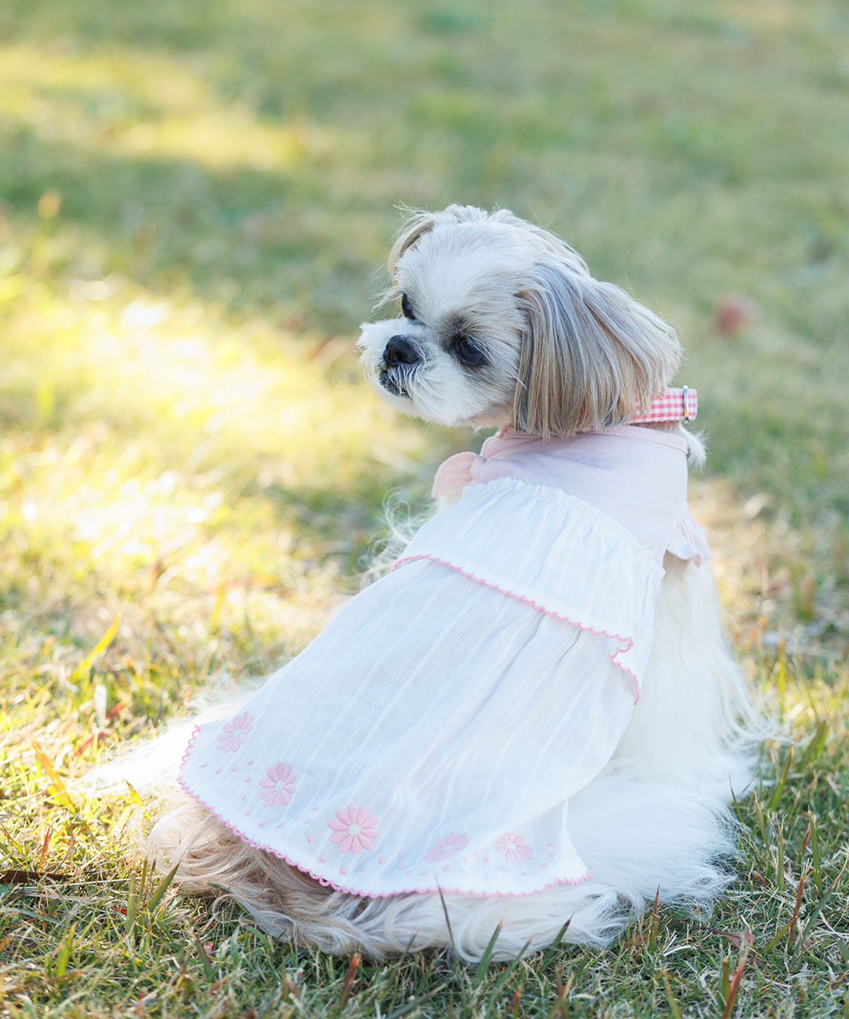 犬と生活　刺繍ワンピースクール【犬服　スカート　ワンピース　女の子　春夏服　可愛い　小型犬】