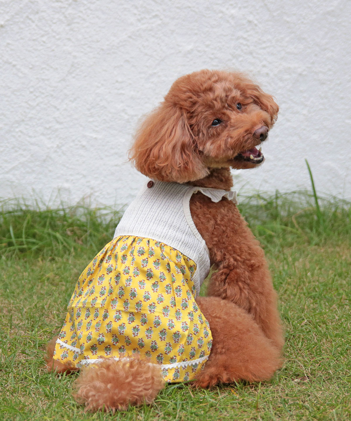 犬と生活　サマーワンピプロバンス【犬服　スカート　ワンピース　女の子　春夏服　可愛い　小型犬】