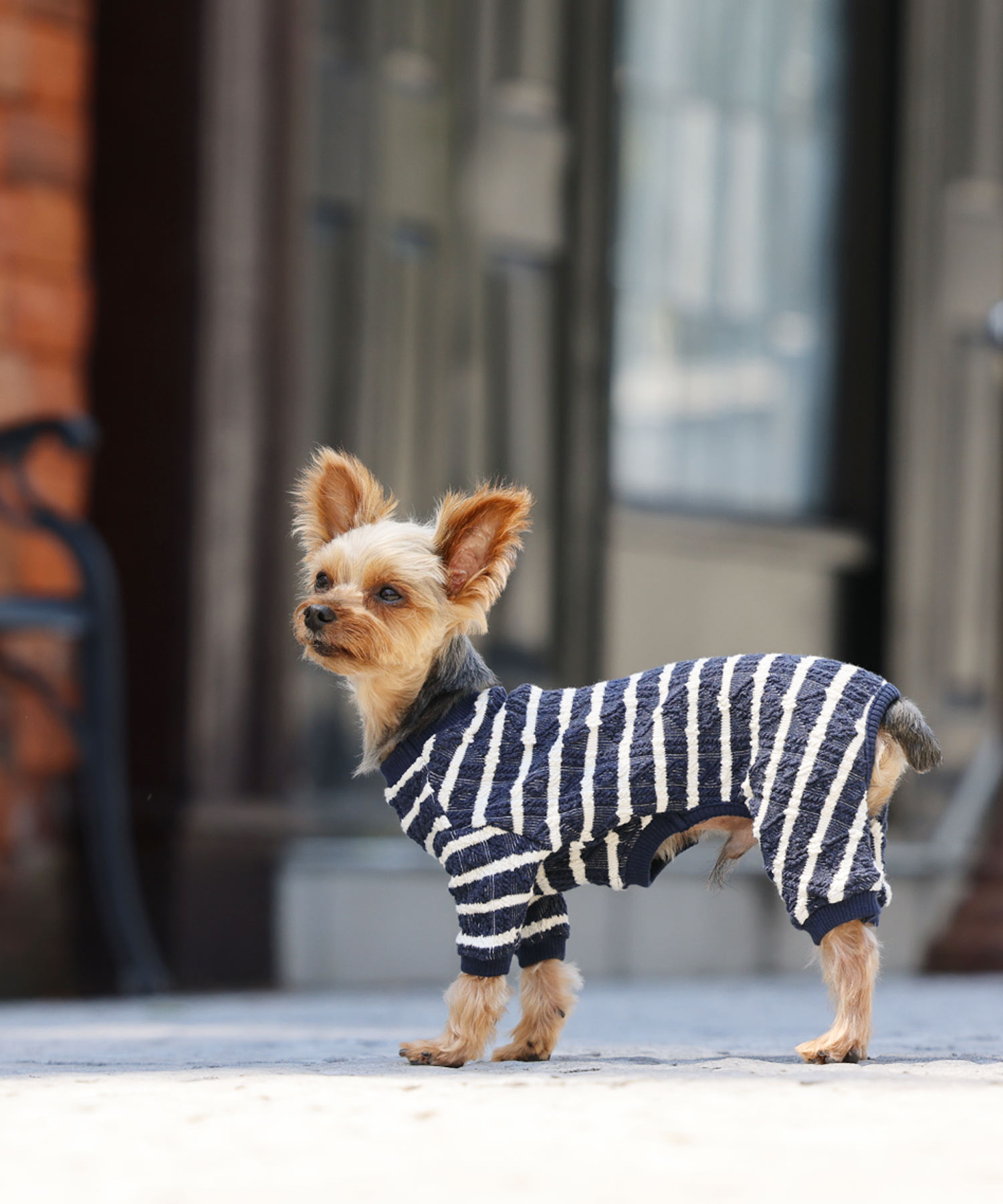 犬と生活　ケーブルニットロンパース　【犬服　冬服　小型犬】