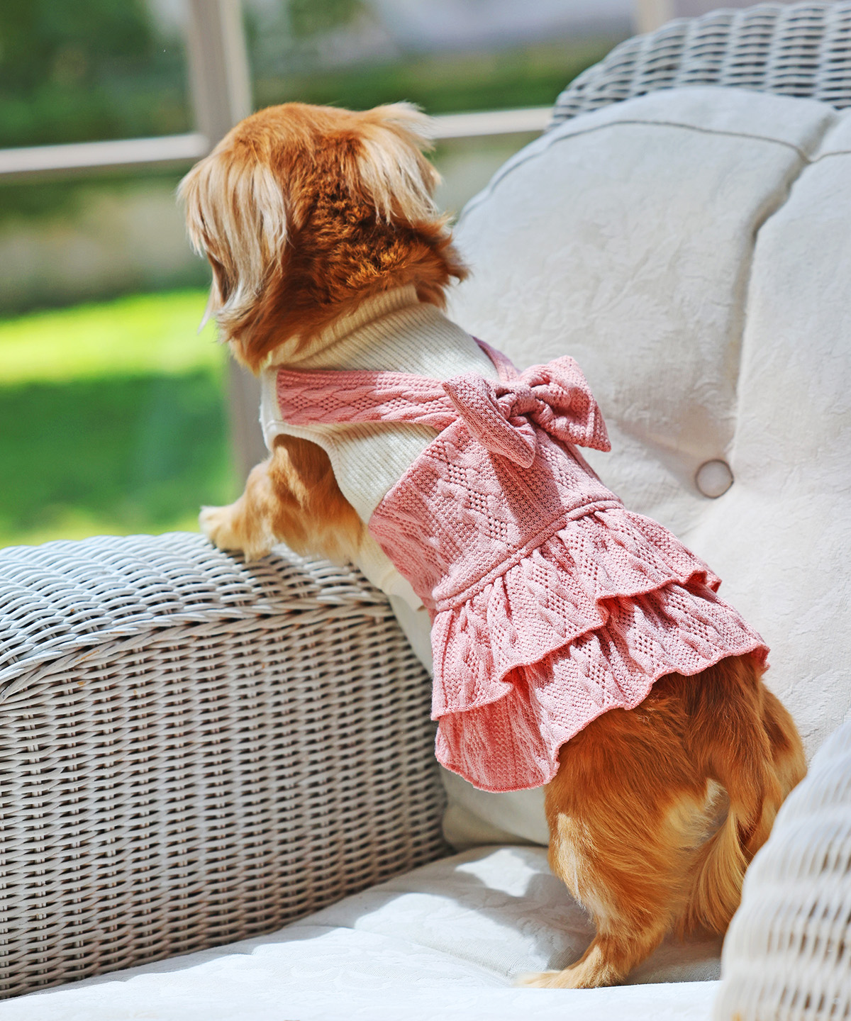 小型犬の秋冬用お洋服 犬と生活 ニットワンピースリボン 【犬服 冬服 小型犬 中型犬 ワンピース】