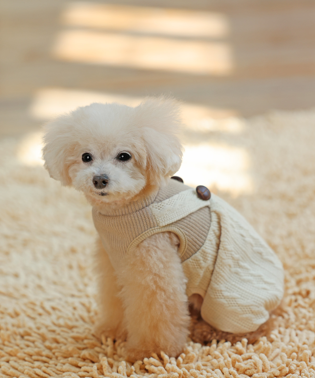 小型犬の秋冬用お洋服 犬と生活 ニットパフパンツ 【犬服 冬服 小型犬】