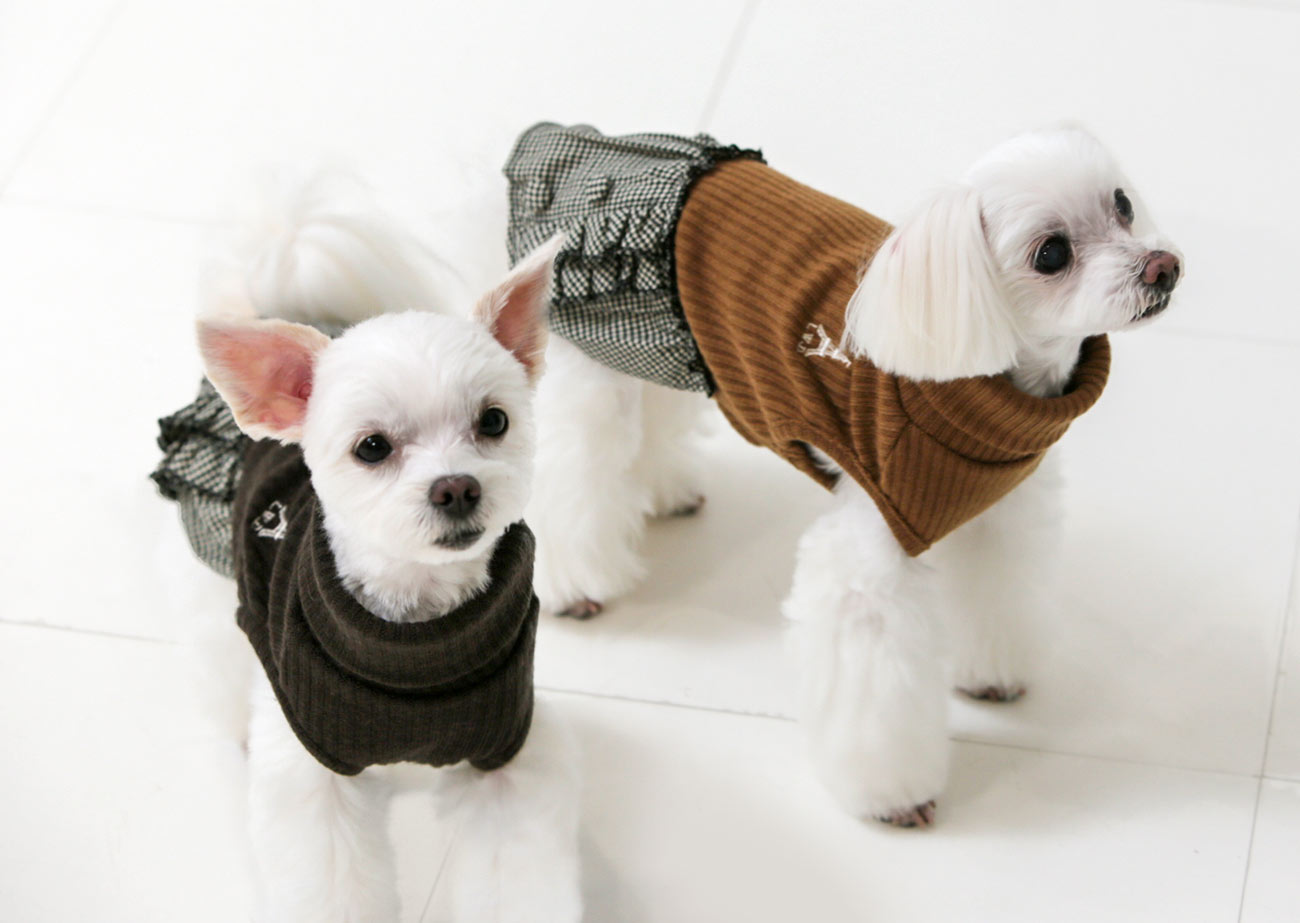 小型犬の秋冬用お洋服 犬と生活 ショコラワンピース 【犬服 秋冬服 小型犬】