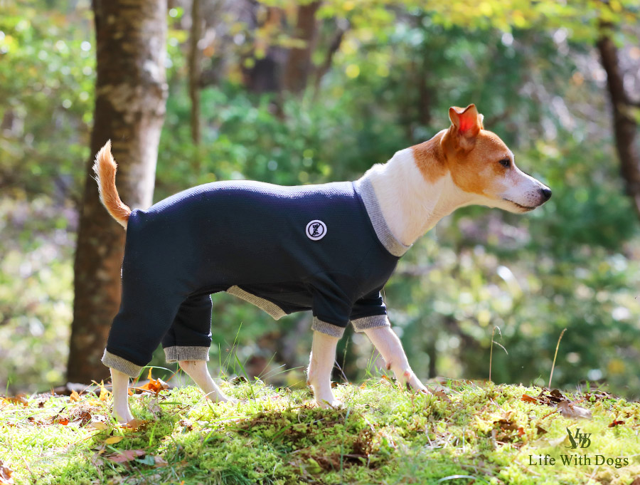 犬と生活 バグガードスーツ｜防虫効果のあるカバーオール型パンツウェア