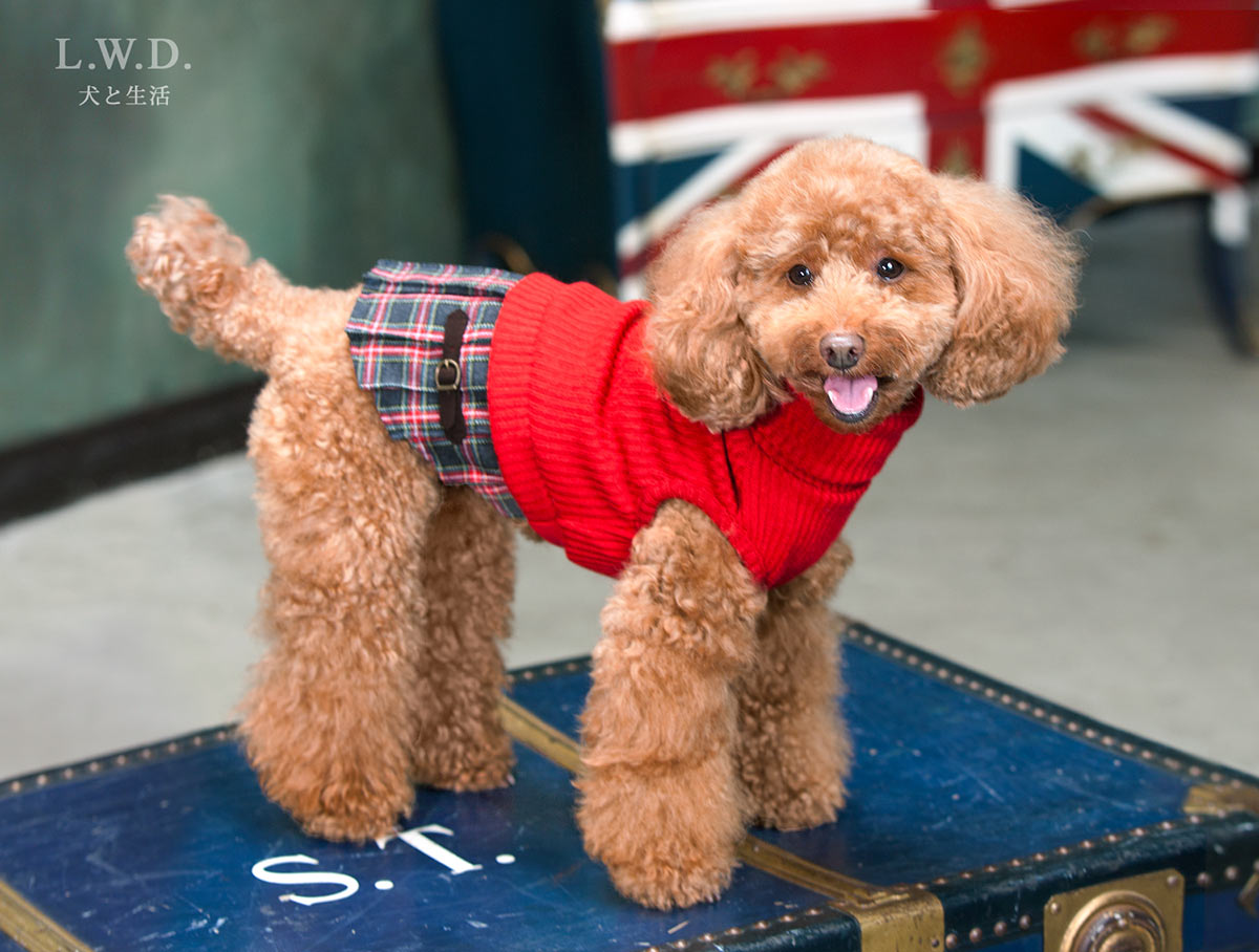 犬と生活 チェックスカート 小型犬の秋冬用のおしゃれなお洋服