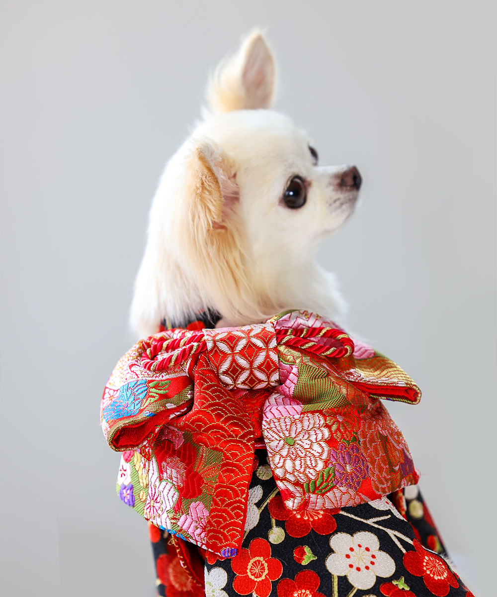 お振袖 女の子の着物 犬と生活｜お正月や記念撮影に。丁寧に作られた素敵な晴れ着 見惚れるほどのあでやかさ 小型犬#12316;中型犬サイズまであります