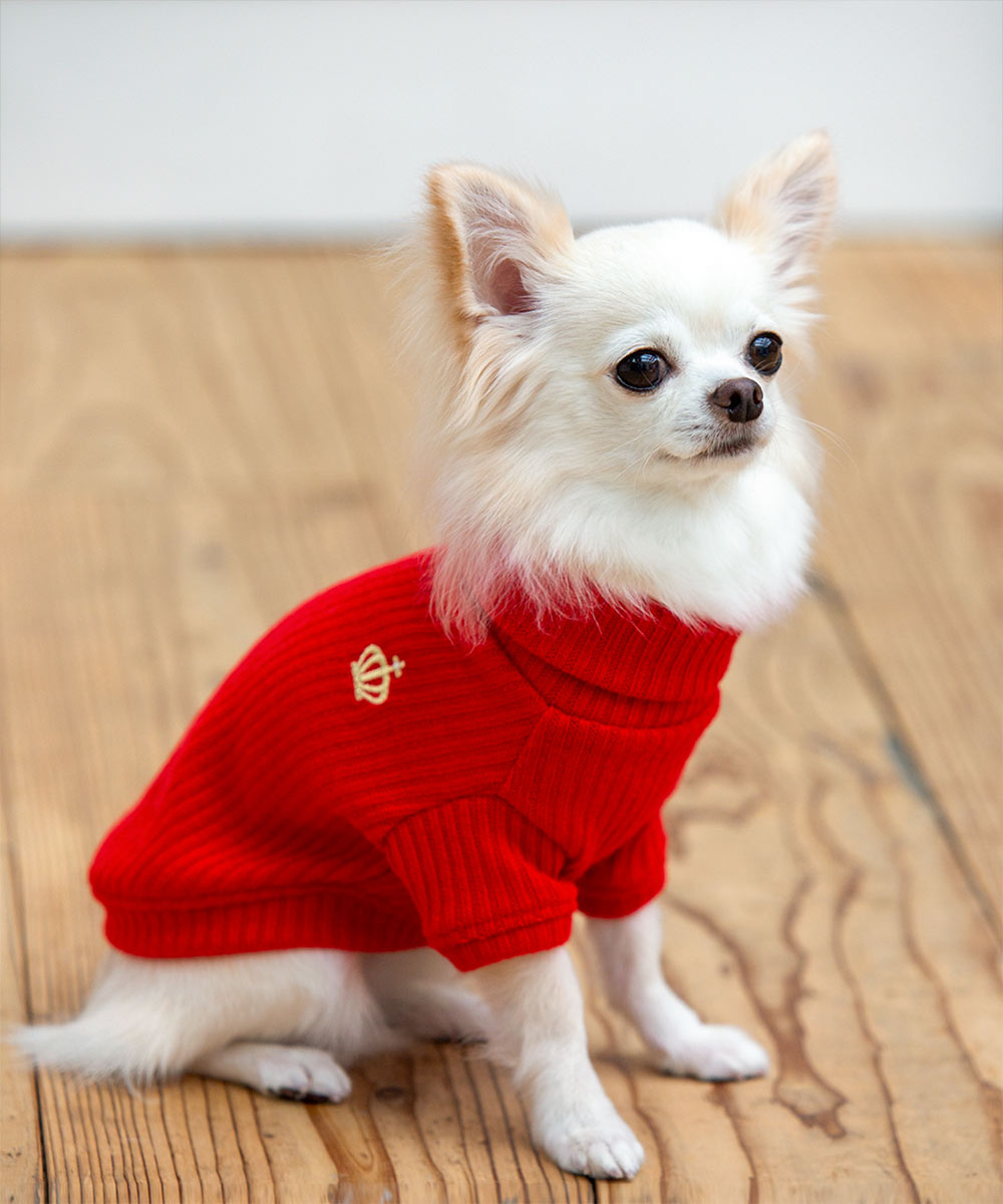 犬と生活　袖付きプレーンタートル　【犬服　冬服　小型犬　セーター　防寒】