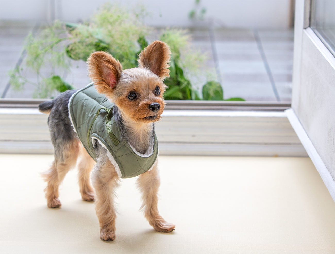 犬と生活 ボディハーネス ダウンロング キルティングボア 犬と生活 ボディハーネス ダウンロング キルティングボア【小型犬用ベスト型ハーネス,内側がボアで暖かい冬用ハーネス】