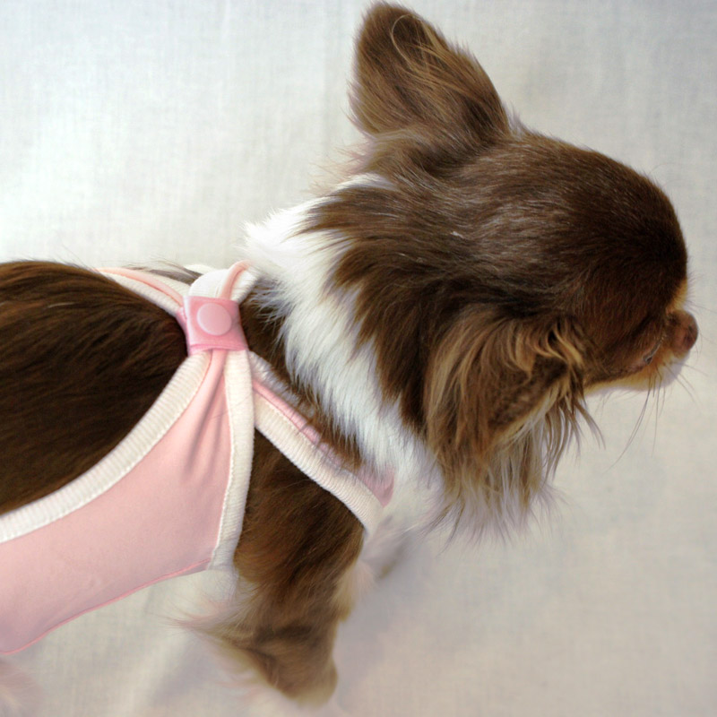 犬と生活 術後ガードスーツ ドッグ｜エリザベスカラーにさよなら！ストレスを減らした傷舐め防止服
