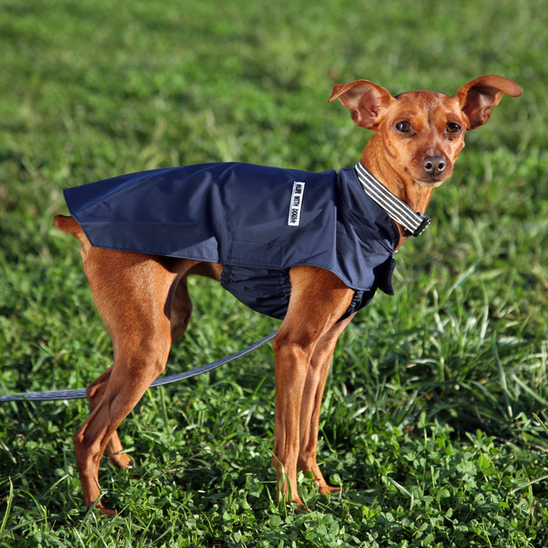 人気ブランド 犬と生活 レインマント 簡単に着られるおすすめポンチョ型レインコート 小型犬 中型 柴犬用