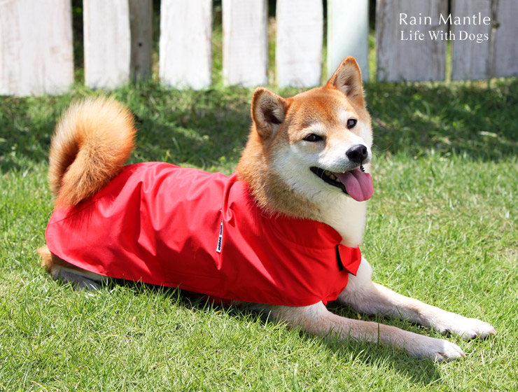 人気ブランド 犬と生活 レインマント 簡単に着られるおすすめポンチョ型レインコート 小型犬 中型 柴犬用