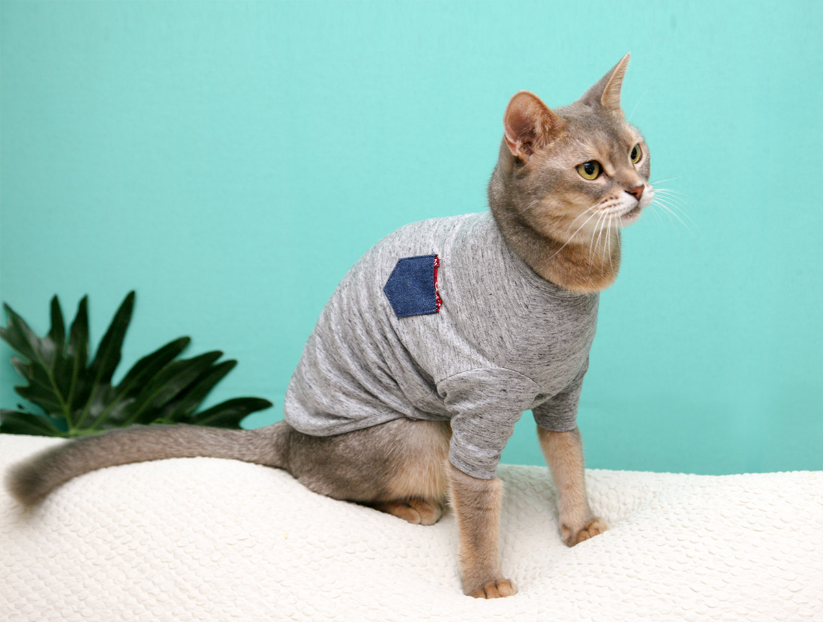 猫の暮らし　クレンゼTシャツ　キャット（抗菌・抗ウイルス機能）　【猫服】