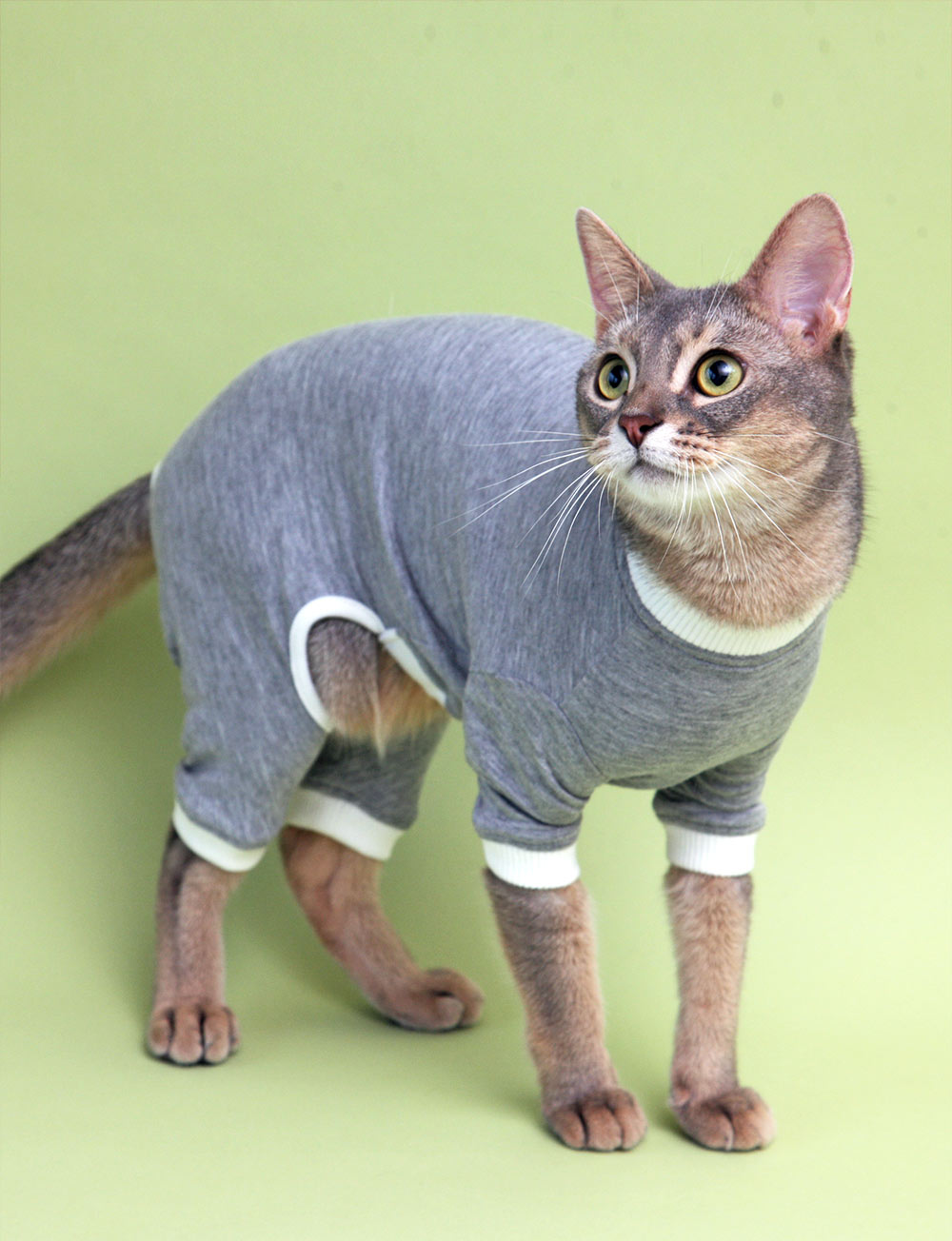 L.W.D.　猫の暮らし　スーパーガードスーツキャット　【猫服　舐め防止　防寒　綿100%】
