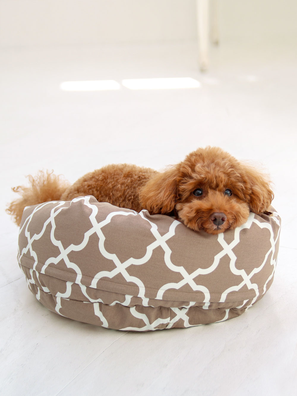 犬と生活　カドラー　モロッカン　【ラウンドベッド　小型犬のベッド】